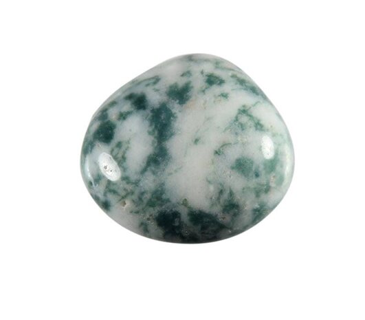 Agaat (boom) steen getrommeld 5 - 10 gram