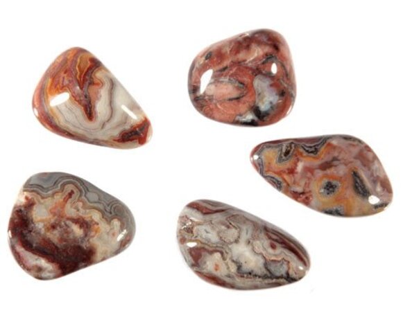 Agaat (kant) steen getrommeld 2 - 5 gram Agaat (kant) steen getrommeld 2 - 5 gram