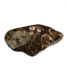 Agaat (turitella) steen getrommeld 5 - 10 gram