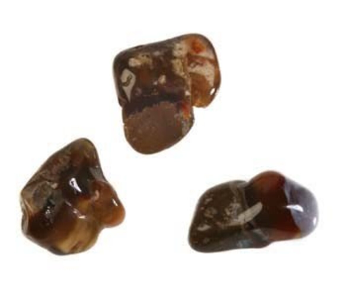 Agaat (vuur) steen getrommeld 2 - 5 gram Agaat (vuur) steen getrommeld 2 - 5 gram