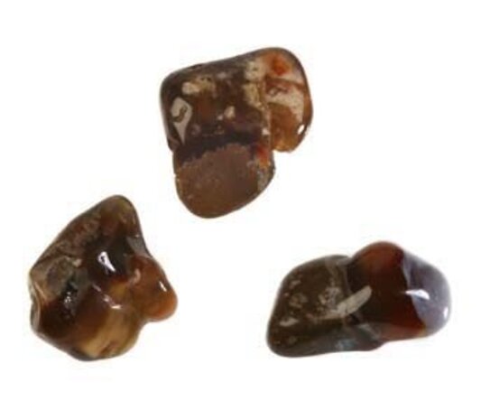 Agaat (vuur) steen getrommeld 2 - 5 gram Agaat (vuur) steen getrommeld 2 - 5 gram