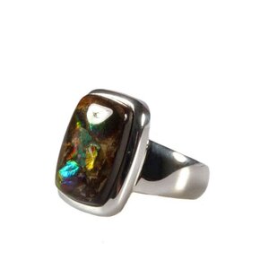 Ammoliet ringen Ammoliet ringen