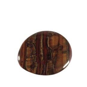 Tijgerijzer Tijgerijzer