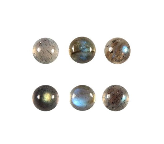 Labradoriet cabochon rond 6 mm Labradoriet cabochon rond 6 mm