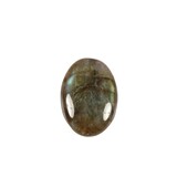 Labradoriet cabochon ovaal 18 x 13 mm Labradoriet cabochon ovaal 18 x 13 mm