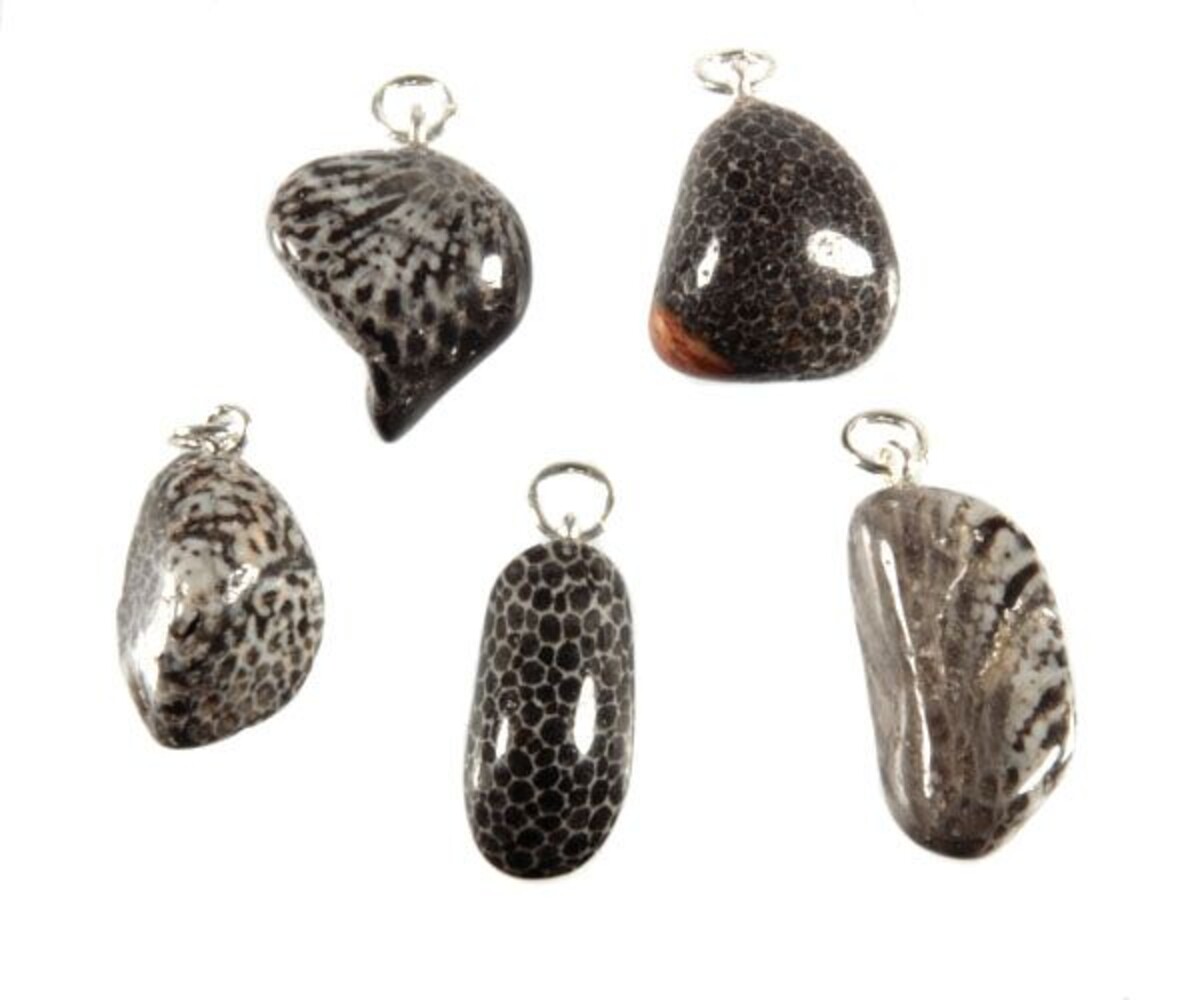 Koraal (versteend) hanger