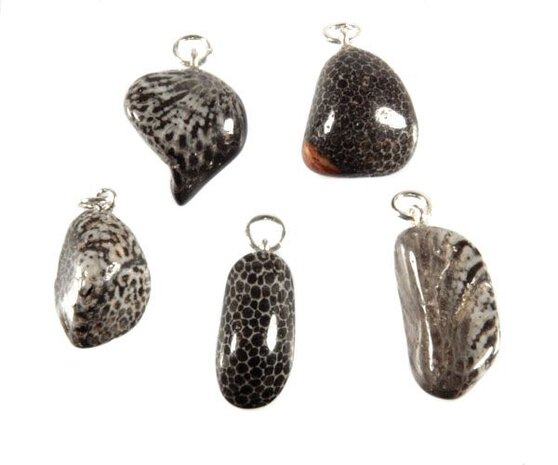 Koraal (versteend) hanger