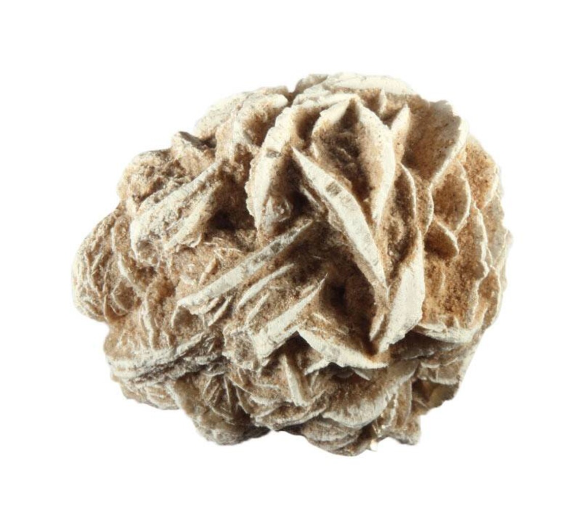 Woestijnroos 50 - 100 gram Woestijnroos 50 - 100 gram