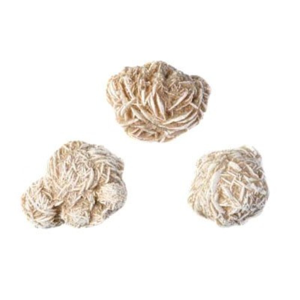 Woestijnroos 3 - 15 gram Woestijnroos 3 - 15 gram