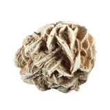 Woestijnroos 3 - 15 gram Woestijnroos 3 - 15 gram