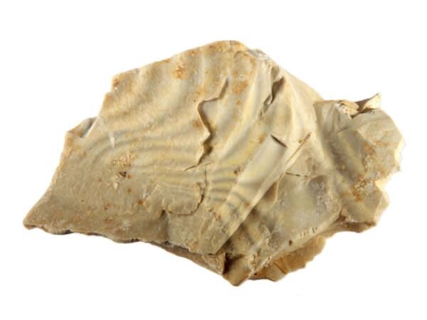 Vuursteen ruw 10 - 25 gram Vuursteen ruw 10 - 25 gram