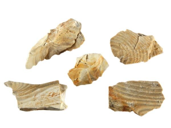 Vuursteen ruw 10 - 25 gram Vuursteen ruw 10 - 25 gram