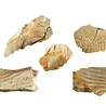 Vuursteen ruw 10 - 25 gram Vuursteen ruw 10 - 25 gram