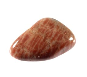 Versteend hout steen getrommeld 5 - 10 gram Versteend hout steen getrommeld 5 - 10 gram