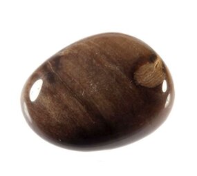 Versteend hout steen getrommeld 10 - 20 gram Versteend hout steen getrommeld 10 - 20 gram