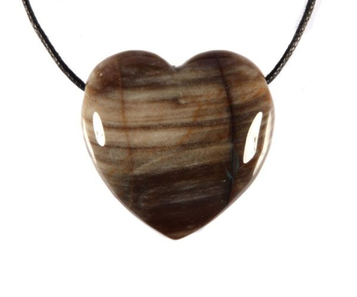 Versteend hout hanger hart doorboord Versteend hout hanger hart doorboord