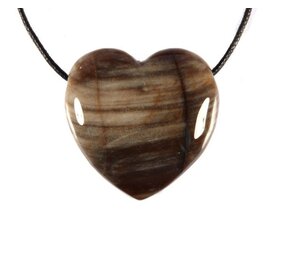 Versteend hout hanger hart doorboord Versteend hout hanger hart doorboord