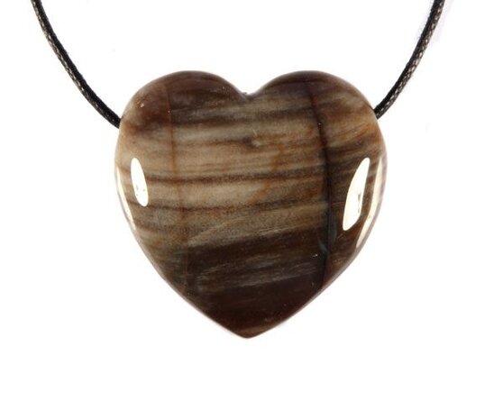 Versteend hout hanger hart doorboord Versteend hout hanger hart doorboord