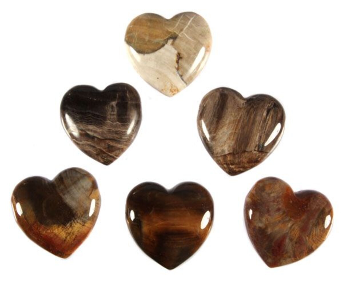 Versteend hout hanger hart doorboord Versteend hout hanger hart doorboord