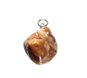 Versteend hout hanger Versteend hout hanger