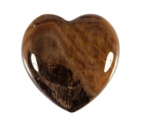 Versteend hout edelsteen hart 3 cm Versteend hout edelsteen hart 3 cm