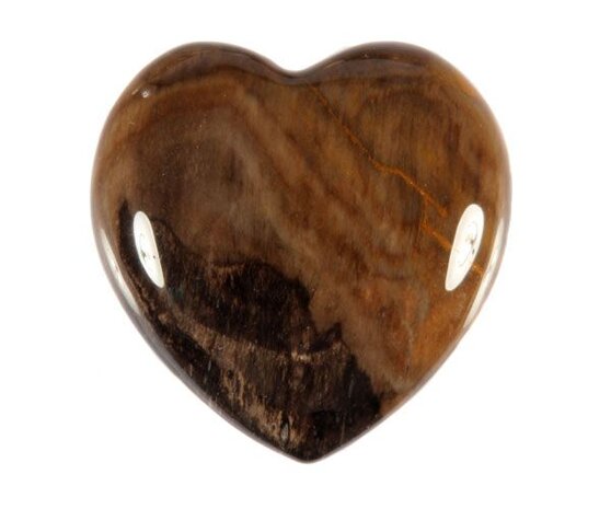 Versteend hout edelsteen hart 3 cm Versteend hout edelsteen hart 3 cm