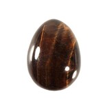 Tijgeroog edelsteen ei 4,5 x 3,5 cm Tijgeroog edelsteen ei 4,5 x 3,5 cm