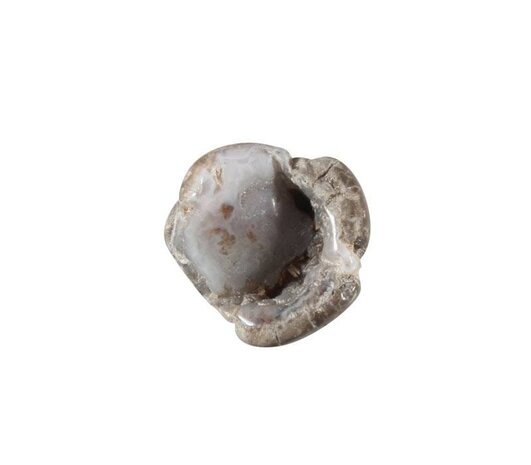 Thunderegg of amulet steen 10 - 20 gram Thunderegg of amulet steen 10 - 20 gram