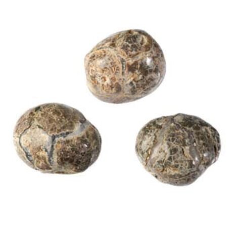 Thunderegg of amulet steen 10 - 20 gram Thunderegg of amulet steen 10 - 20 gram