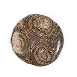 Stromatoliet steen plat gepolijst Stromatoliet steen plat gepolijst