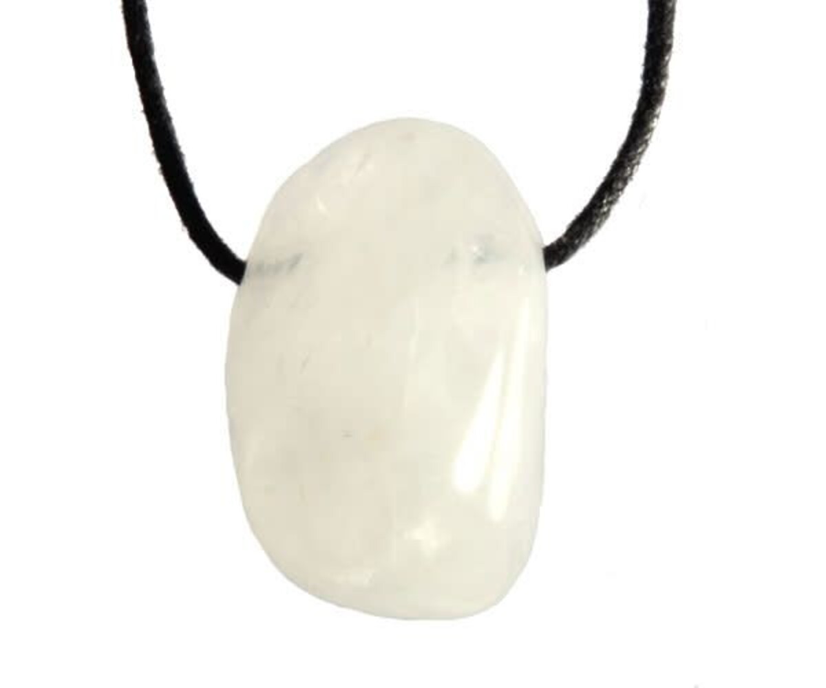 Sneeuwkwarts hanger doorboord Sneeuwkwarts hanger doorboord