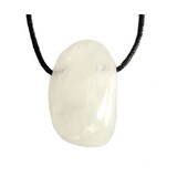 Sneeuwkwarts hanger doorboord