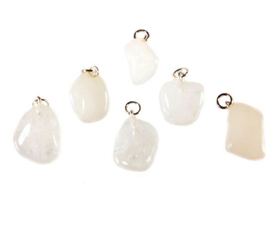 Sneeuwkwarts hanger Sneeuwkwarts hanger