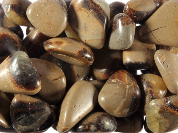 Septarie steen getrommeld 1,5 - 5 gram