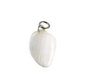 Scoleciet hanger Scoleciet hanger