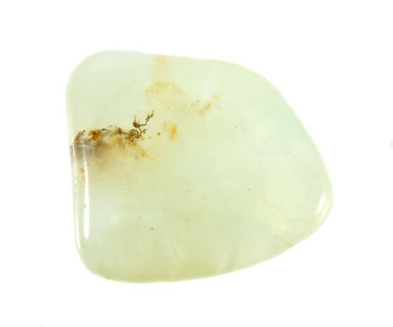 Prehniet steen getrommeld | middel (M) Prehniet steen getrommeld | middel (M)