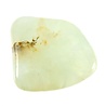 Prehniet steen getrommeld | middel (M) Prehniet steen getrommeld | middel (M)