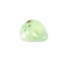 Prehniet steen getrommeld 2 - 5 gram Prehniet steen getrommeld 2 - 5 gram