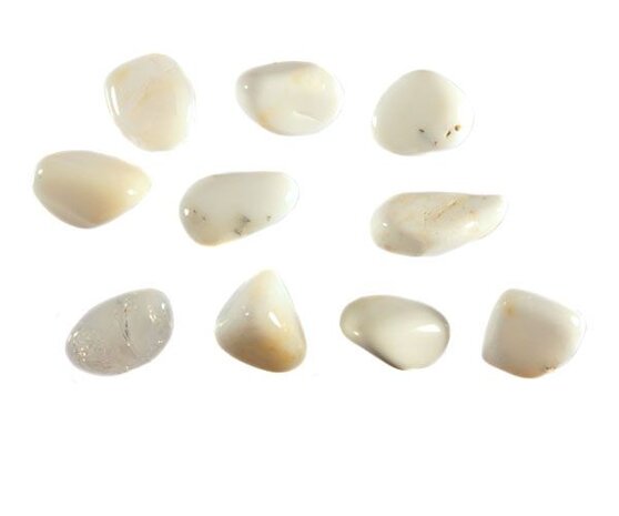 Opaal (melk) steen getrommeld 1 - 2 gram Opaal (melk) steen getrommeld 1 - 2 gram