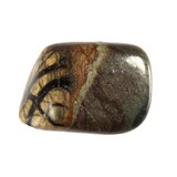 Olivijn steen getrommeld 5 - 10 gram Olivijn steen getrommeld 5 - 10 gram