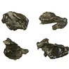 Meteoriet ruw 2 - 5 gram Meteoriet ruw 2 - 5 gram