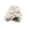 Magnesiet steen getrommeld | middel (M) Magnesiet steen getrommeld | middel (M)