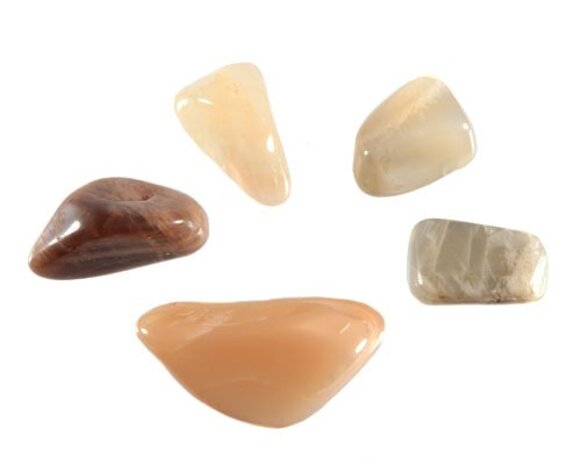 Maansteen steen getrommeld 5 - 10 gram Maansteen steen getrommeld 5 - 10 gram