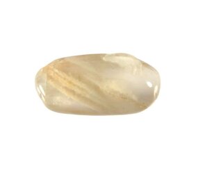 Maansteen steen getrommeld 2 - 5 gram Maansteen steen getrommeld 2 - 5 gram