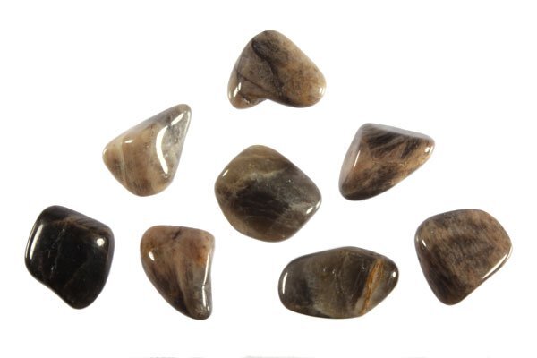 Maansteen (zwart) steen getrommeld | middel (M)