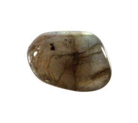Labradoriet steen getrommeld 5 - 10 gram Labradoriet steen getrommeld 5 - 10 gram