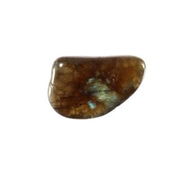 Labradoriet steen getrommeld 2 - 5 gram Labradoriet steen getrommeld 2 - 5 gram