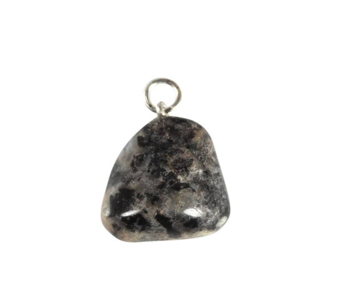 Jaspis (zilverblad) hanger Jaspis (zilverblad) hanger