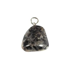 Jaspis (zilverblad) hanger Jaspis (zilverblad) hanger