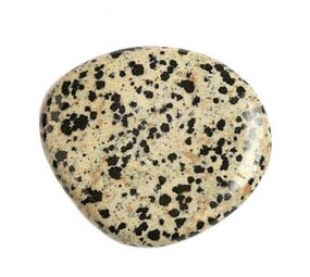 Jaspis (dalmatiër) steen plat gepolijst Jaspis (dalmatiër) steen plat gepolijst